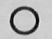 最近傍法による１０倍表示画像